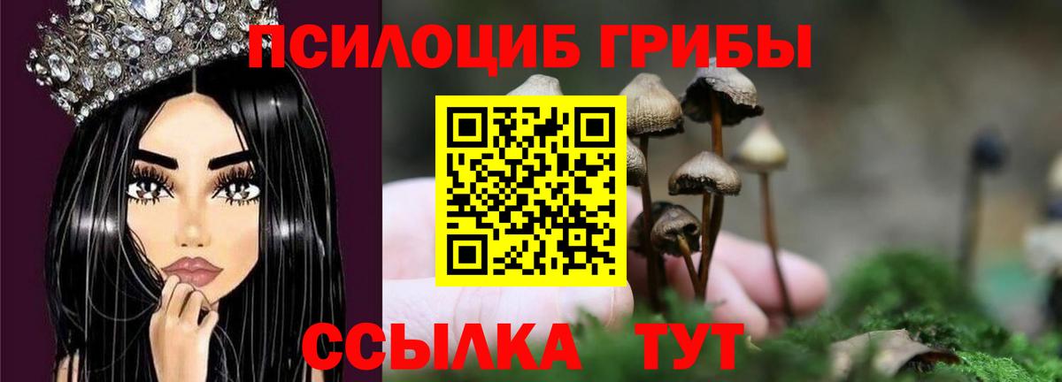 Псилоцибиновые грибы прущие грибы Кинель