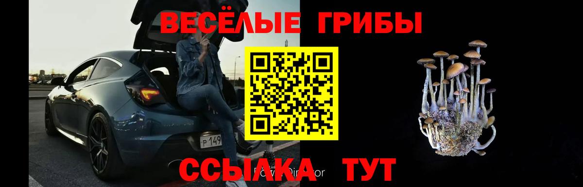 Галлюциногенные грибы Cubensis  хочу   Кинель  Вход с VPN 
