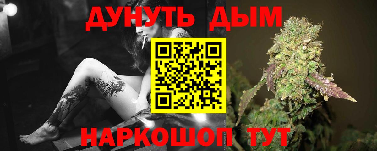 Бошки марихуана гибрид  Вход с VPN  Бошки Шишки планчик  Конопля Bruce Banner  Кинель 
